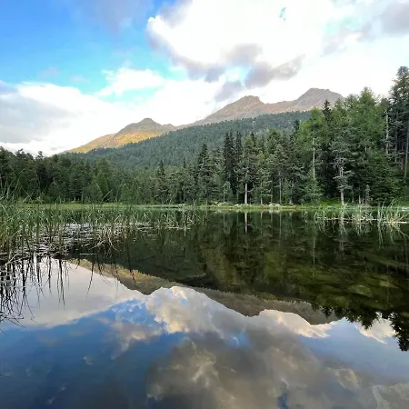 Chesa Munteratsch 1 1 2-zimmerwohnung 409 Typ C 실파플라나