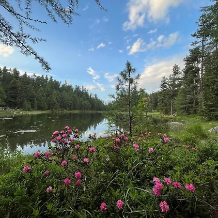 아파트 Chesa Munteratsch 1 1 2-zimmerwohnung 409 Typ C 실파플라나