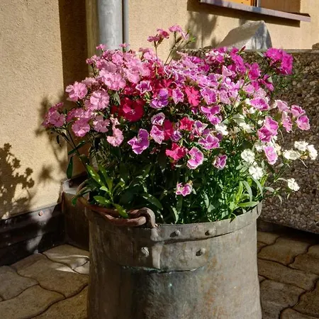 Chesa Munteratsch 1 1 2-zimmerwohnung 409 Typ C