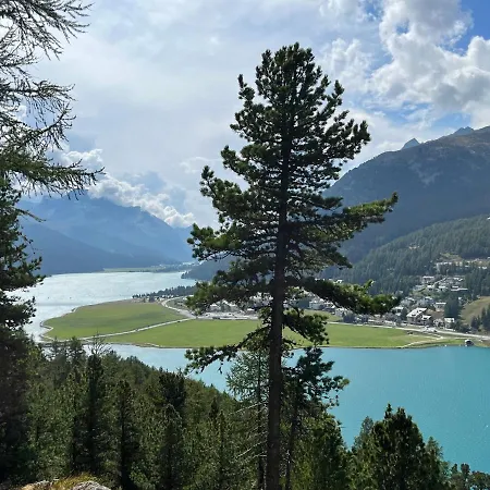 Chesa Munteratsch 1 1 2-zimmerwohnung 409 Typ C