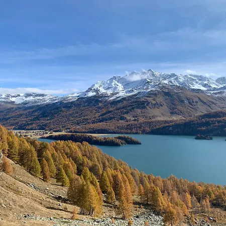 Chesa Munteratsch 1 1 2-zimmerwohnung 409 Typ C 실파플라나