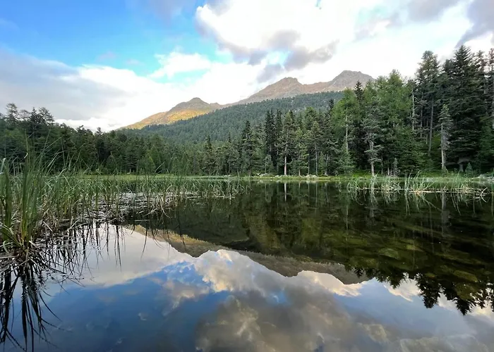 Chesa Munteratsch 1 1 2-zimmerwohnung 409 Typ C Silvaplana