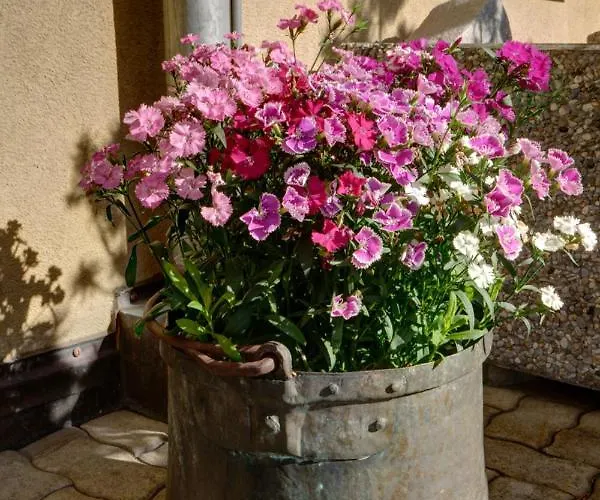 Chesa Munteratsch 1 1 2-zimmerwohnung 409 Typ C