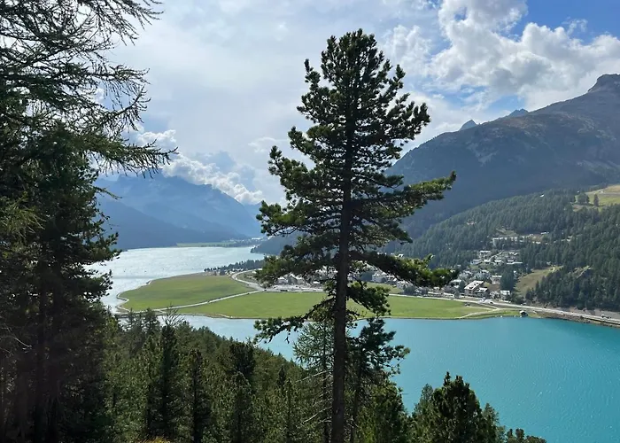 Chesa Munteratsch 1 1 2-zimmerwohnung 409 Typ C