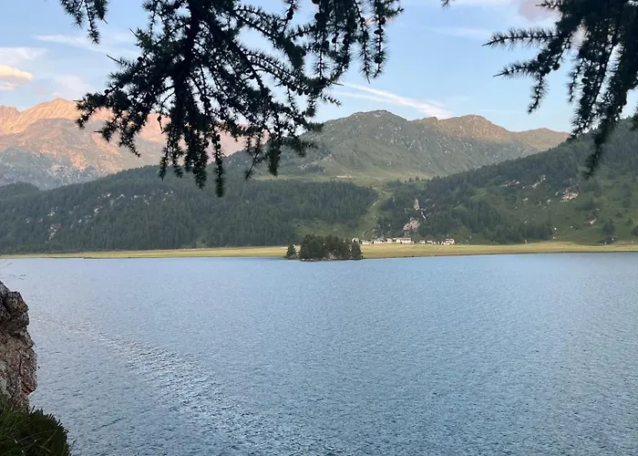 Apartment Chesa Munteratsch 1 1 2-zimmerwohnung 409 Typ C