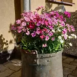 Chesa Munteratsch 1 1 2-zimmerwohnung 409 Typ C